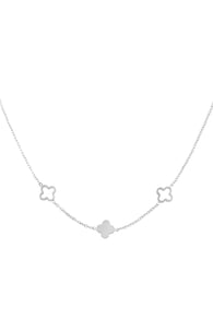 silver Picture2